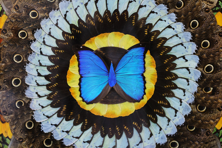 사용자 삽입 이미지