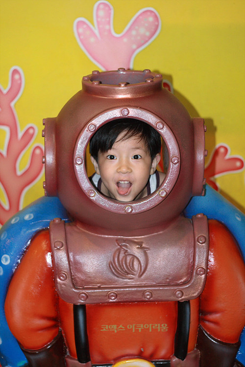 사용자 삽입 이미지