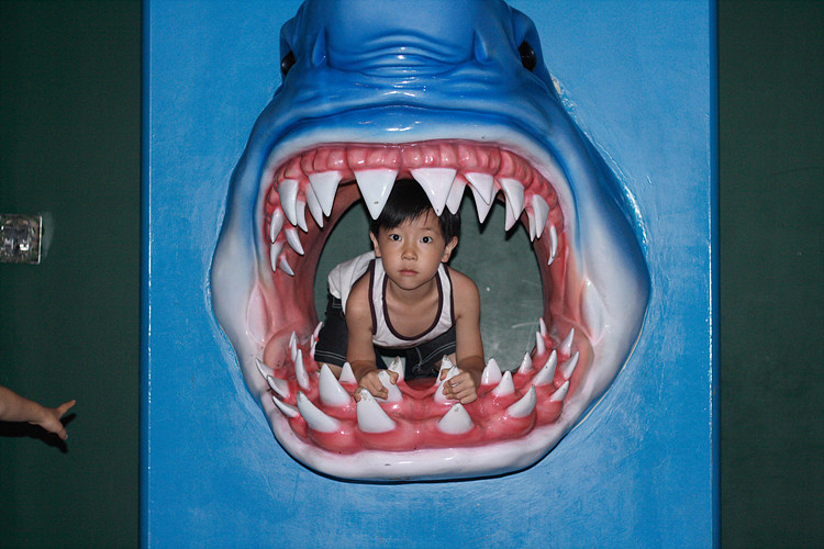 사용자 삽입 이미지