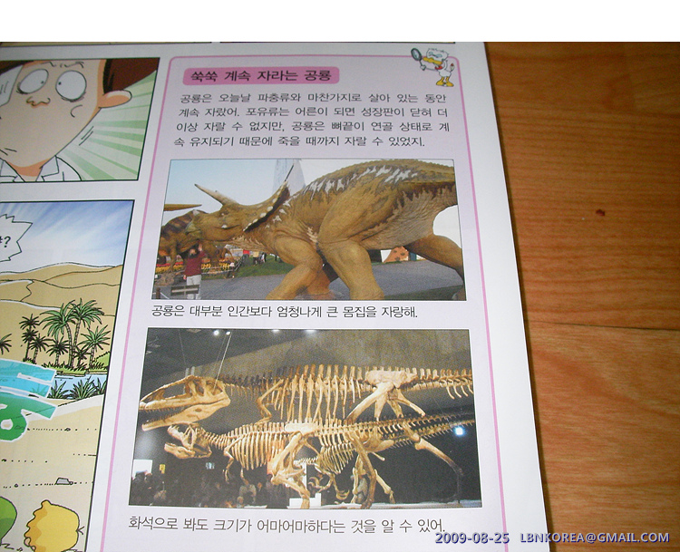 사용자 삽입 이미지