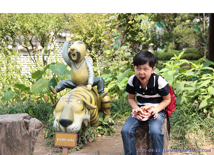 사용자 삽입 이미지