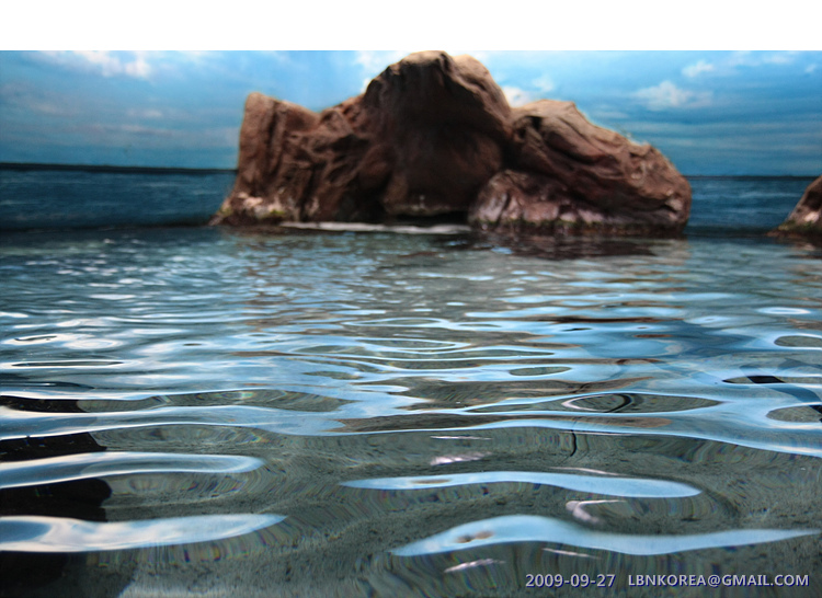 사용자 삽입 이미지