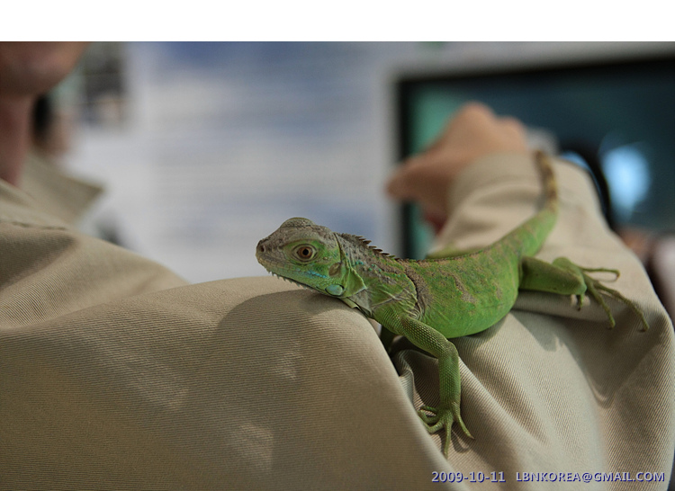 사용자 삽입 이미지