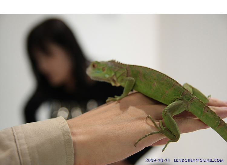 사용자 삽입 이미지