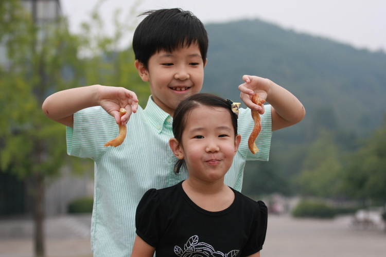 사용자 삽입 이미지