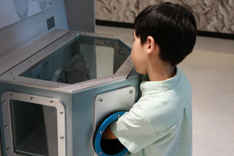 사용자 삽입 이미지