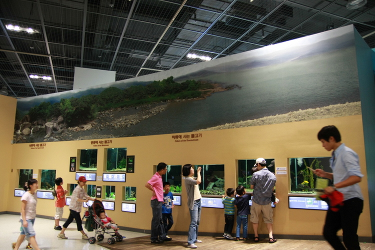 사용자 삽입 이미지