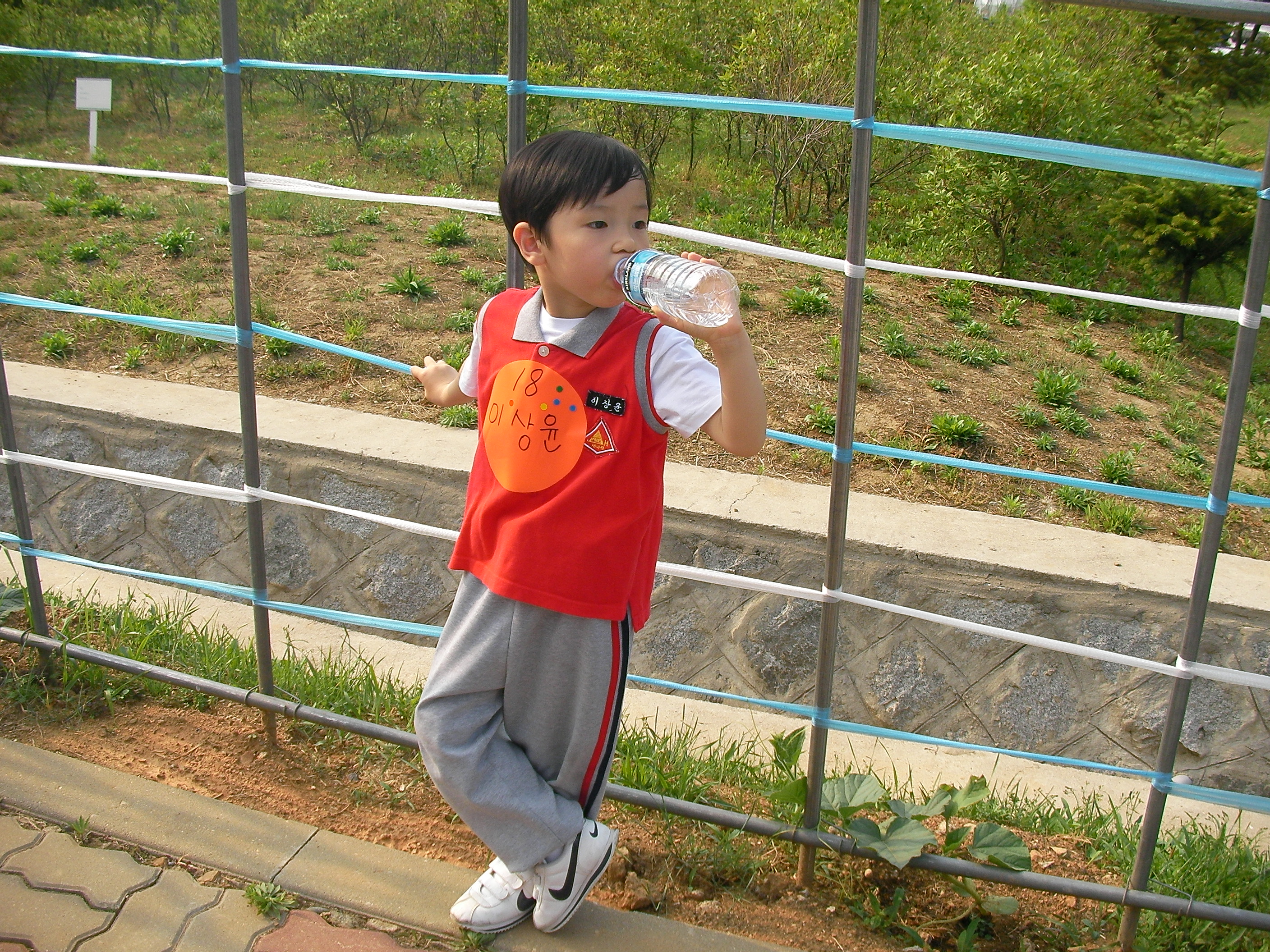 사용자 삽입 이미지